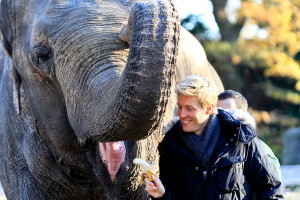 Maxi Arland, 32 und Mogli, 46 : Zwischen den beiden liegen 14 Jahre. Beim öffentlich-rechtlichen Fernsehen ist er jung, als Elefant stünde er kurz vor der Rente. Foto: Moritz Gerlach