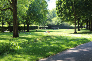 Der Wehbers-Park am Hamburg-Haus lädt zum Verweilen ein. Foto: