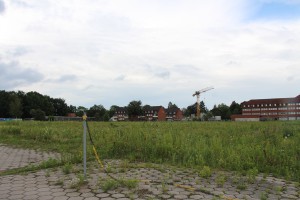 Fläche für Flüchtlingsunterbringung Flagentwiet. Foto: Lukas Gilbert