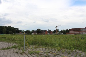 Fläche für Flüchtlingsunterbringung Flagentwiet. Foto: Lukas Gilbert