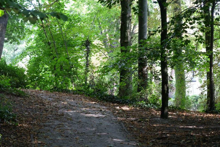 Im Jahr 2004 zerstörte ein verheerender Sturm den Großteil des Innocentia Parks. Mittlerweile wurden die Schäden durch die "Initiative Innocentiapark e.V." wieder behoben. Foto: Karoline Gebhardt