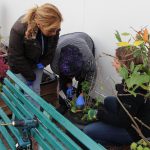 Frauenpower: Alle helfen bei der Gartenarbeit mit. Foto: Ida Wittenberg