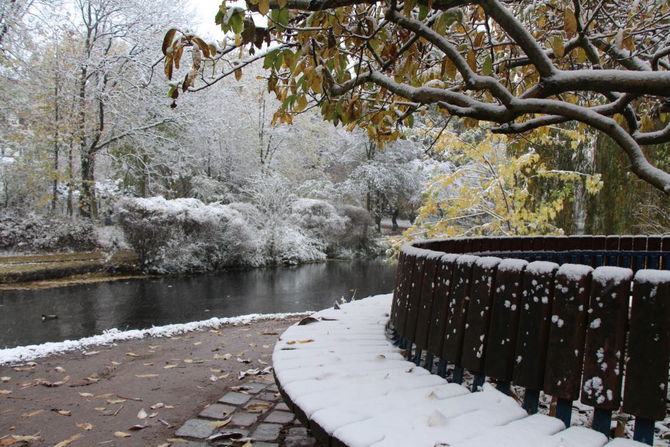 Der Weiher ist an diesem Vormittag keine Anlaufstelle für viele Menschen. Die Bänke leer. Nur der Schnee. Foto: Karoline Gebhartdt