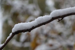 Ein wenig Schnee bleibt vorerst liegen. Foto: Karoline Gebhardt