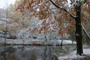 Der erste Schnee dieses Jahres fiel am 8. November. Foto: Karoline Gebhardt