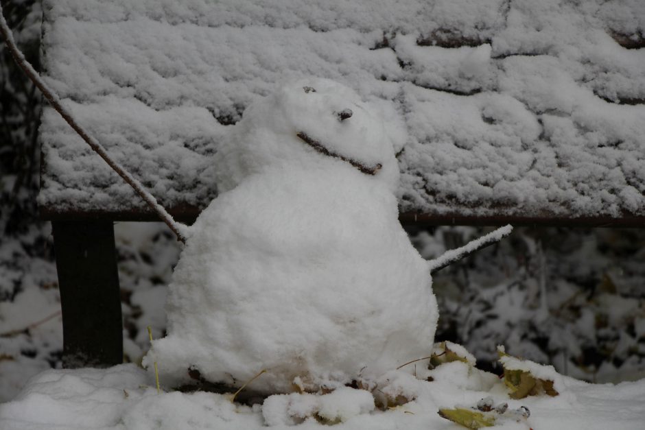 Es hat sich jemand über den Schnee gefreut: Der vielleicht erste Schneemann in diesem Jahr? Foto: Karoline Gebhardt