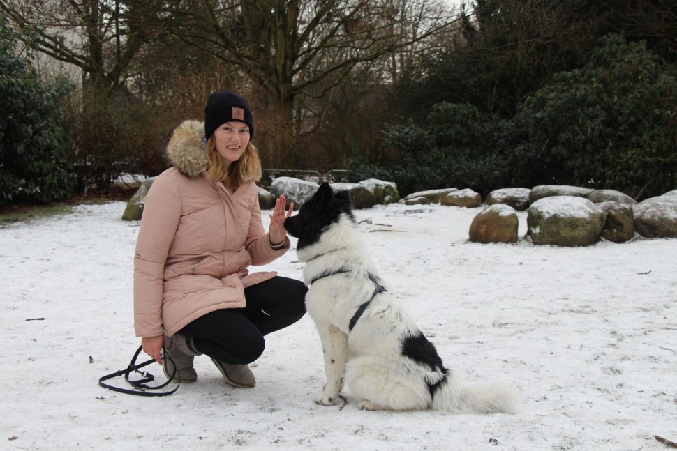 Dorothee kann es verstehen, dass man als Hundebesitzer vor allem bei Kindern und Joggern aufpassen muss. "Zum Spazieren fahren wir sonst auch oft aus der Stadt heraus, an die Elbe oder in die Stellinger Schweiz. Es ist aber schade, dass vor der Haustür immer mehr Platz weggenommen wird, um Hunde frei laufen zu lassen. Ein kleiner begrenzter Bereich wäre zumindest schön." Foto: Carolin Martz