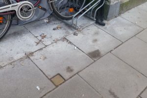 Der Stolperstein im Schulweg 48 sieht nach dem Umbau etwas anders aus. Foto: Peter Gutzeit