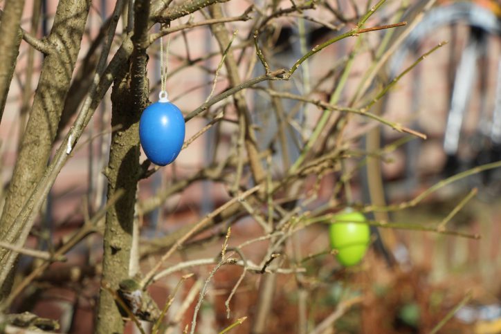 Foto: Eimsbütteler Nachrichten