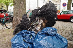 Auch eine Mülltonne hat es erwischt - sie brannte in der Parkallee ab. Foto: Max Gilbert