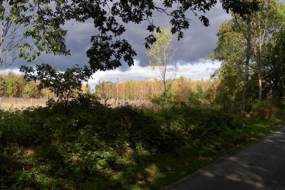 Landschaft. Foto: ADFC Hamburg