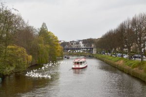 ... oder Ausflugsdampfer - die gefiederten Hamburger lassen sich nicht aus der Ruhe bringen. Foto: Max Gilbert.