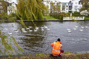 Das Treiben ist eine willkommene Abwechslung für alle um die Alster. Foto: Max Gilbert.