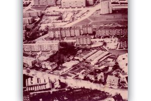 Luftbild von 1960. Das Gärtnerei-Gelände war damals noch um ein Vielfaches größer als heute. Gewächhäuser erstreckten sich über das heutige Edeka Gelände. Im Zweiten Weltkrieg musste die Familie hier überwiegend Salat und Champignons anbauen. In den 1970er Jahren wurden die Anbauflächen zu der heutigen größe verkleinert (Gelände unterhalb der Stresemannallee). Foto: Famile Holzweißig