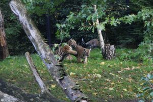 Auf dem Sprung: Ein paar Späßchen dürfen auch nicht fehlen. Foto: Phillip Holländer