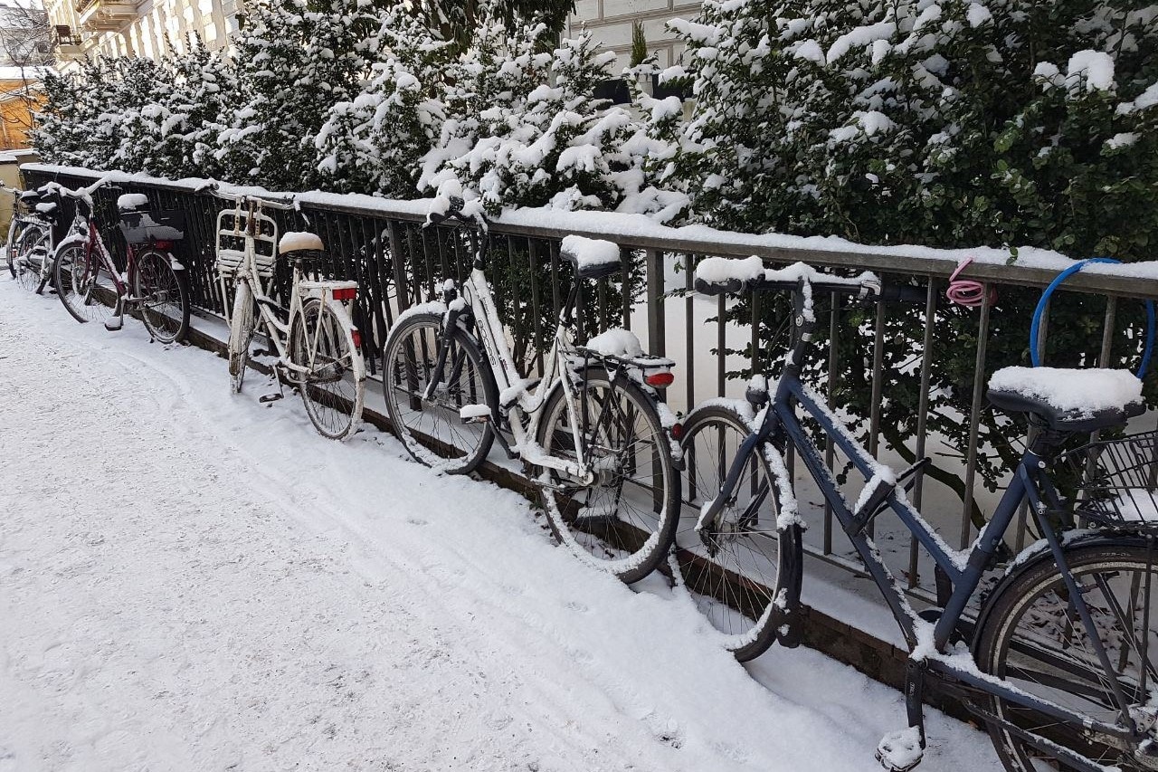 Fahrräder im Winterschlaf. Foto: Lena Schnüpke