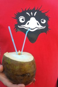 Agua de Coco auch für den Emu. Foto: Vanessa Leitschuh