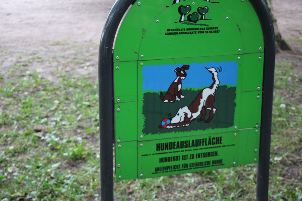 Es gibt Ärger um die Hundewiese in der Eduardstraße. Foto: Fabian Hennig