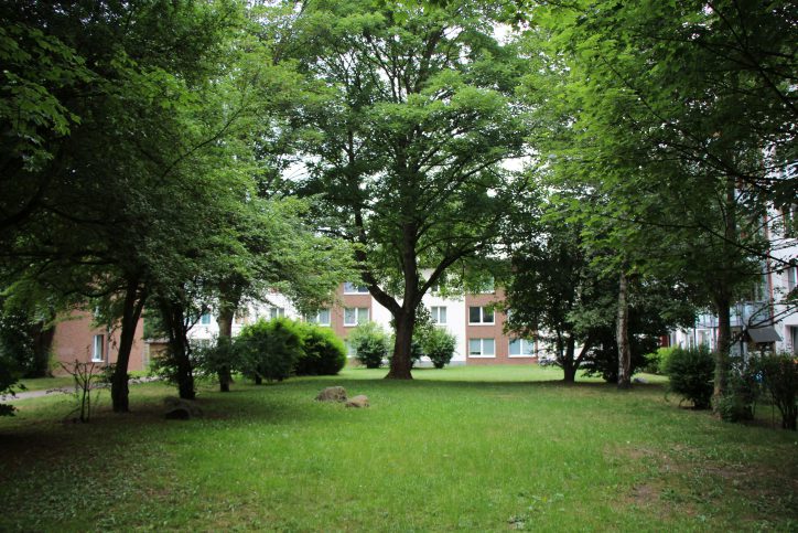 Steht hier schon bald ein Wohnhaus? Die SAGA plant ihr Grundstück an der Lappenbergsallee nachzuverdichten. Foto: Max Gilbert