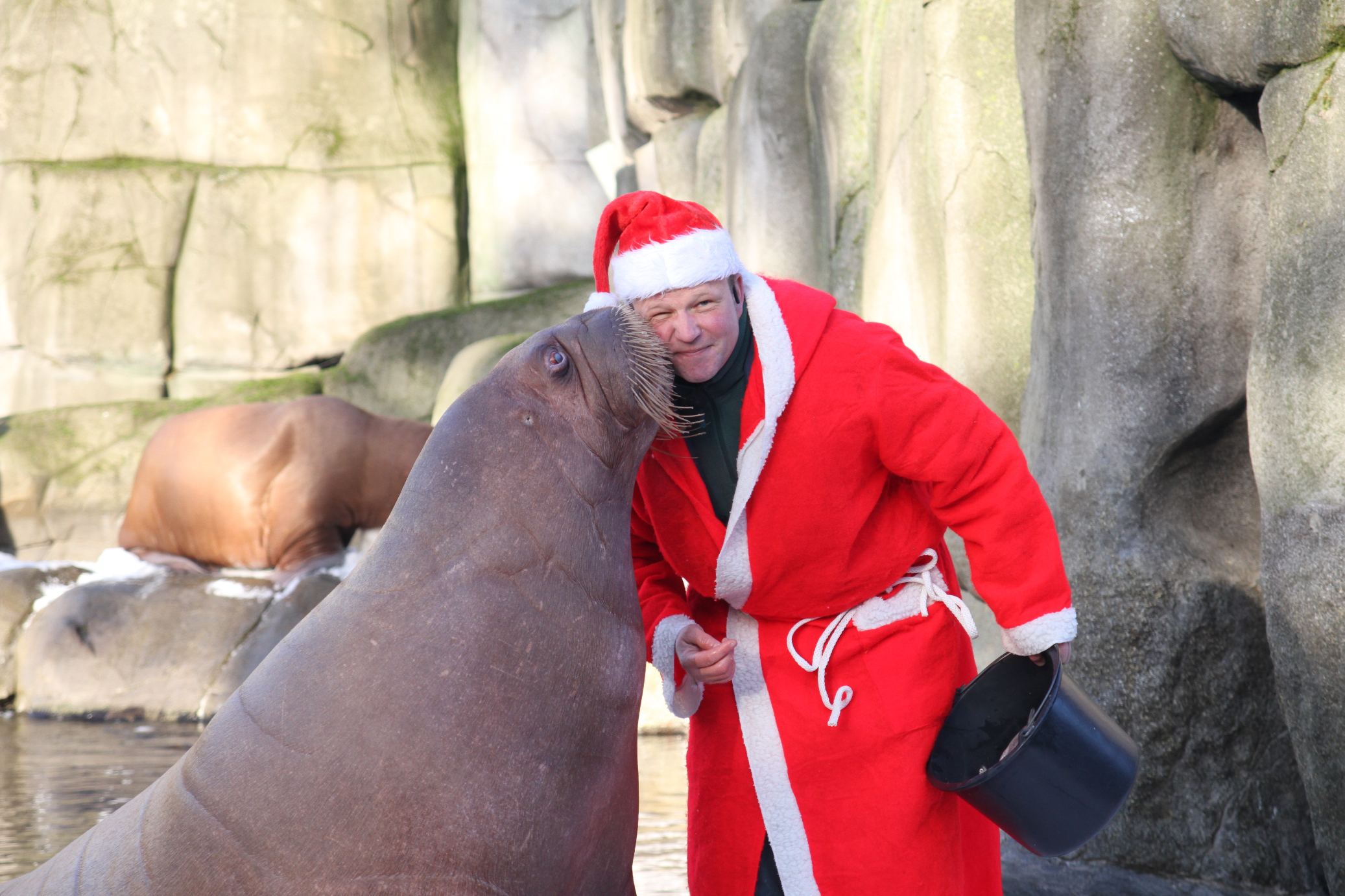 Zum Dank gab es einen Kuss. Foto: Tierpark Hagenbeck