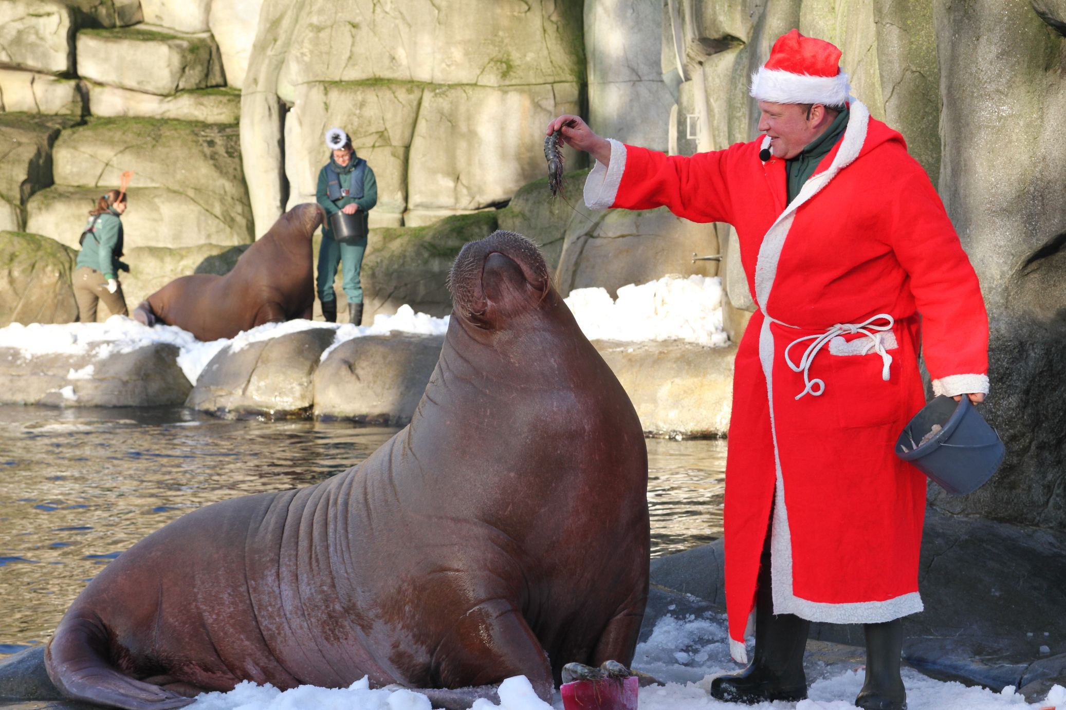 Happs und weg. Foto: Tierpark Hagenbeck