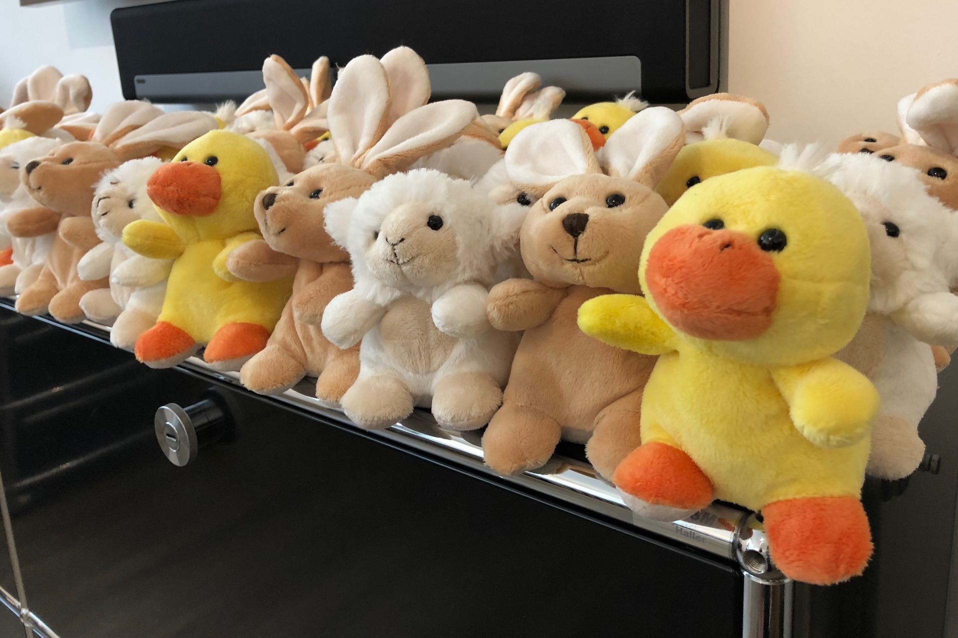 Osteraktion bei HDI - Eimsbütteler Nachrichten