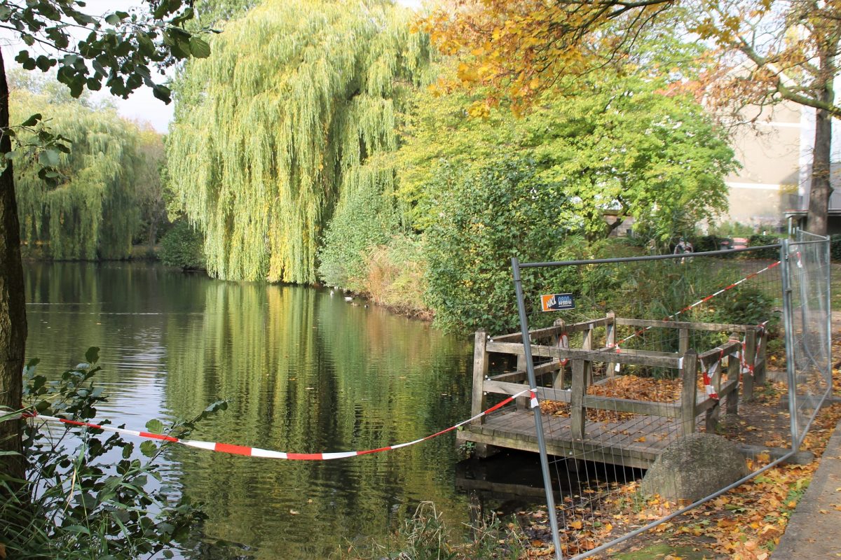 Der Steg am Weiher ist seit 2018 gesperrt. Foto: Alicia Wischhusen