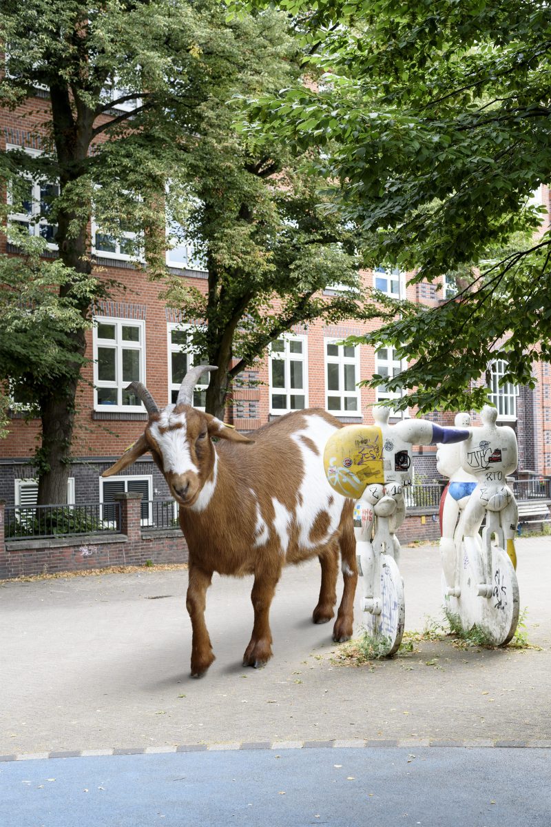 Geiß auf dem Else-Rauch-Platz