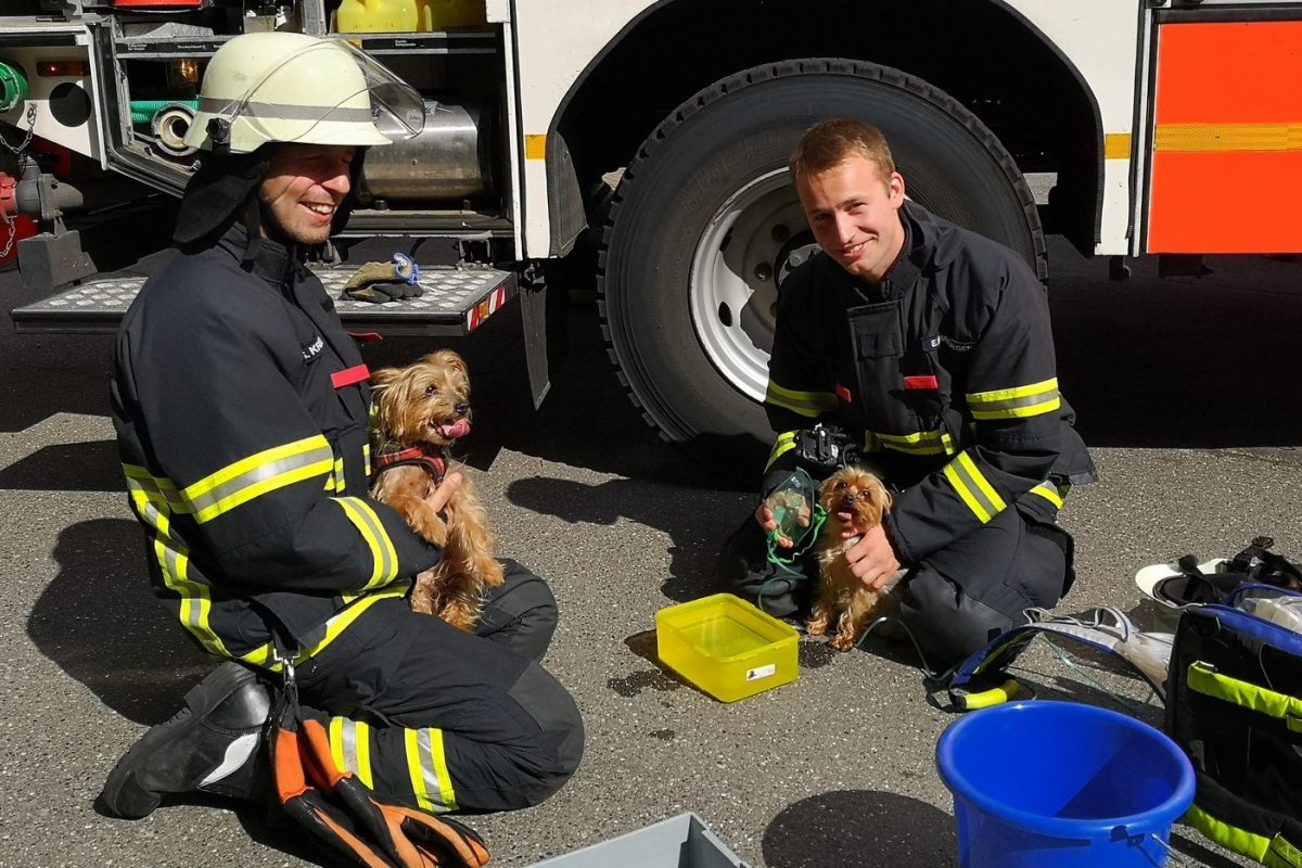 03.08.2020 Am Nachmittag rettete die Feuerwehr zwei Hunde aus einer verqualmten Wohnung in der Kollaustraße 113. Foto: Christoph Seemann