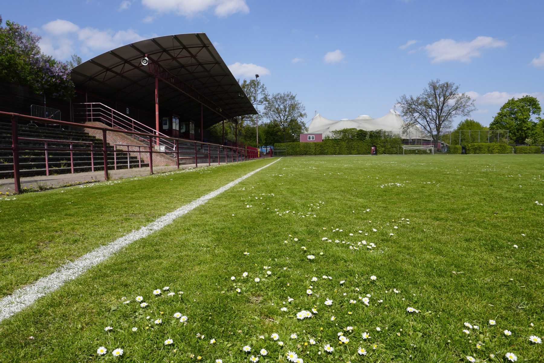Die Wolfgang-Meyer-Sportanlage an der Hagenbeckstraße soll einen neuen Namen erhalten.