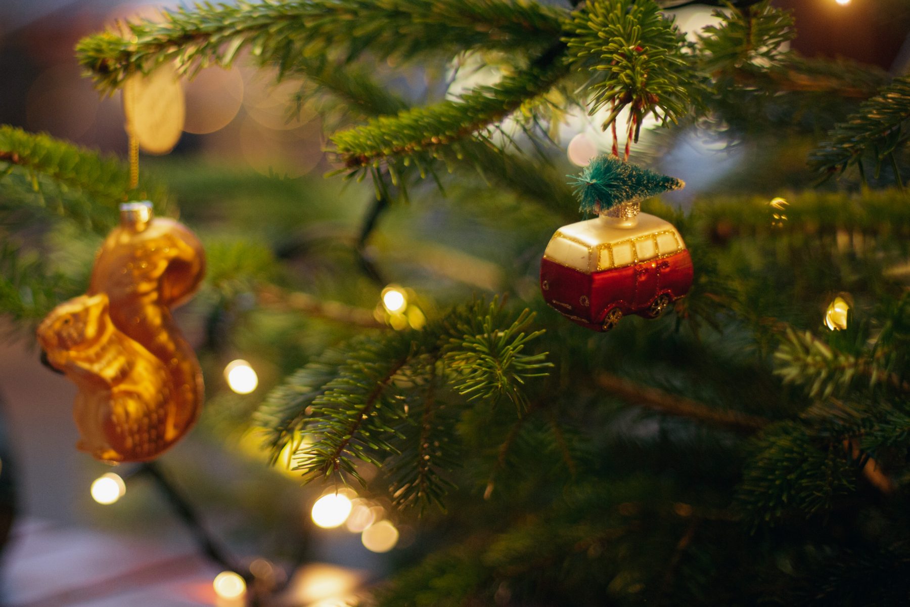 Weihnachtsbaum richtig Termine zur Abholung