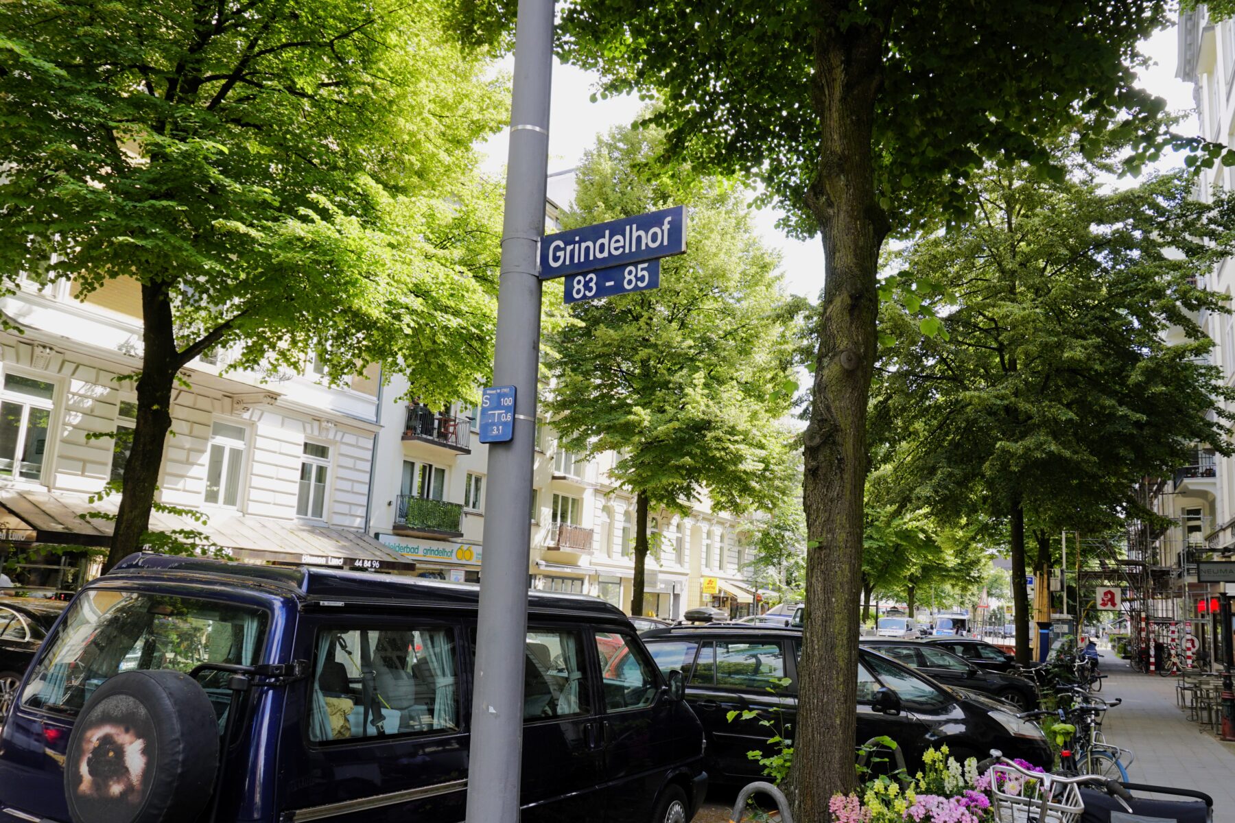 Eine Bewohnerin i m Grindelviertel hat vor Gericht gegen die Stadt gewonnen: Eine Bewohnerparkzone ist nicht rechtmäßig. Foto: Amelie Müller