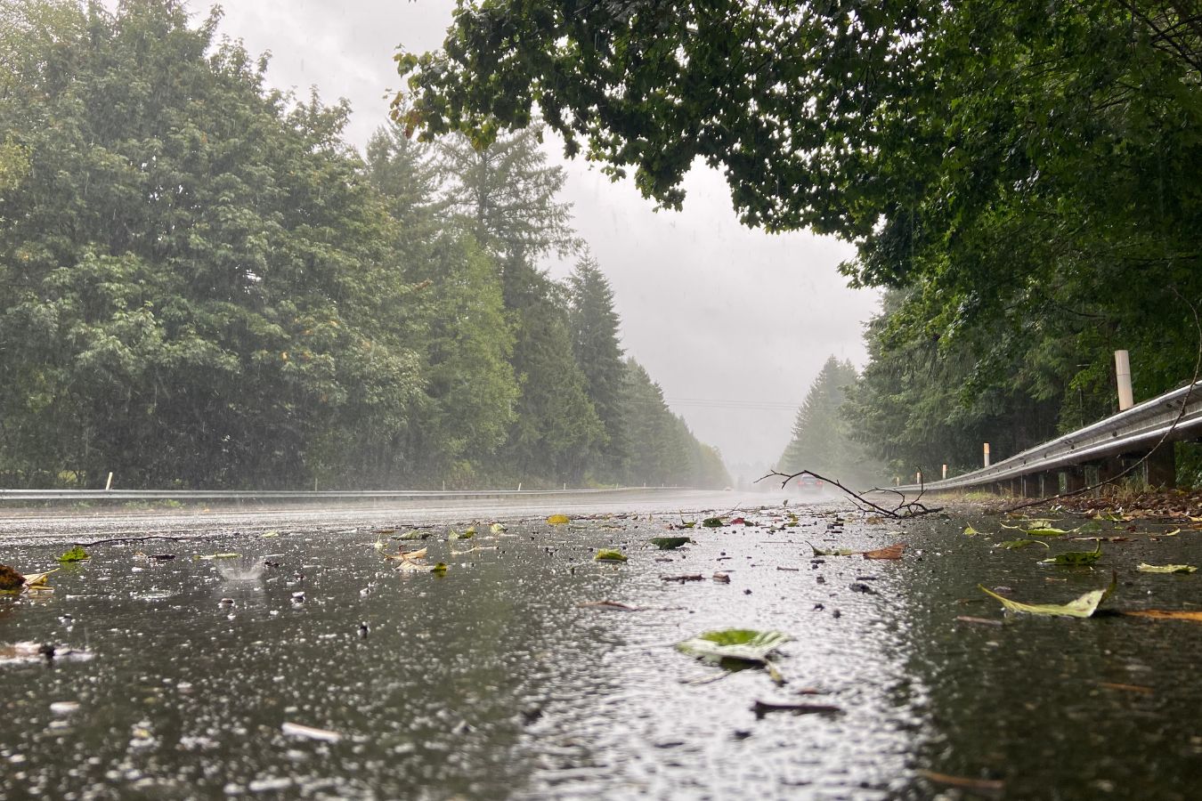 In Eimsbüttel gibt es viele Aktivitäten, auch bei Regen. Foto: Canva