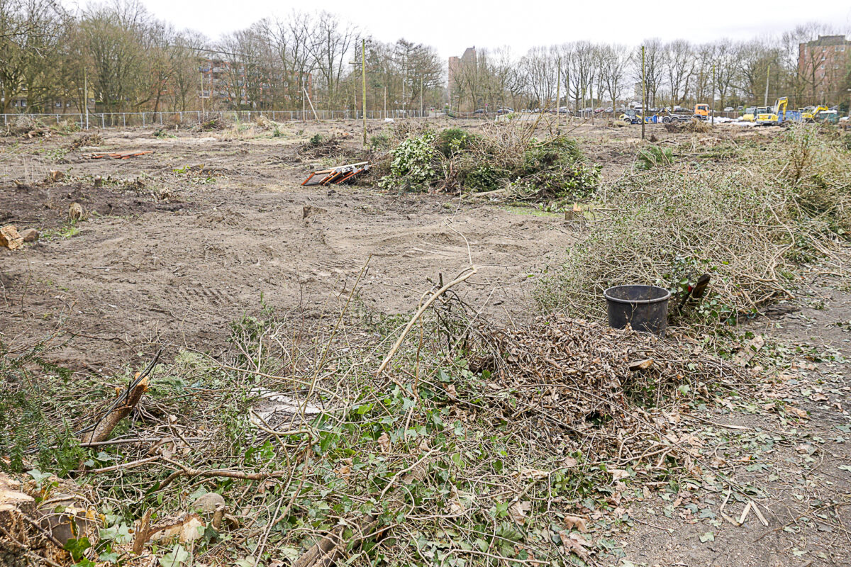 Auf dem alten Areal der Gartenfreunde Wittkamp werden nun Wohnhäuser gebaut. Foto: Frieda Stadtlander