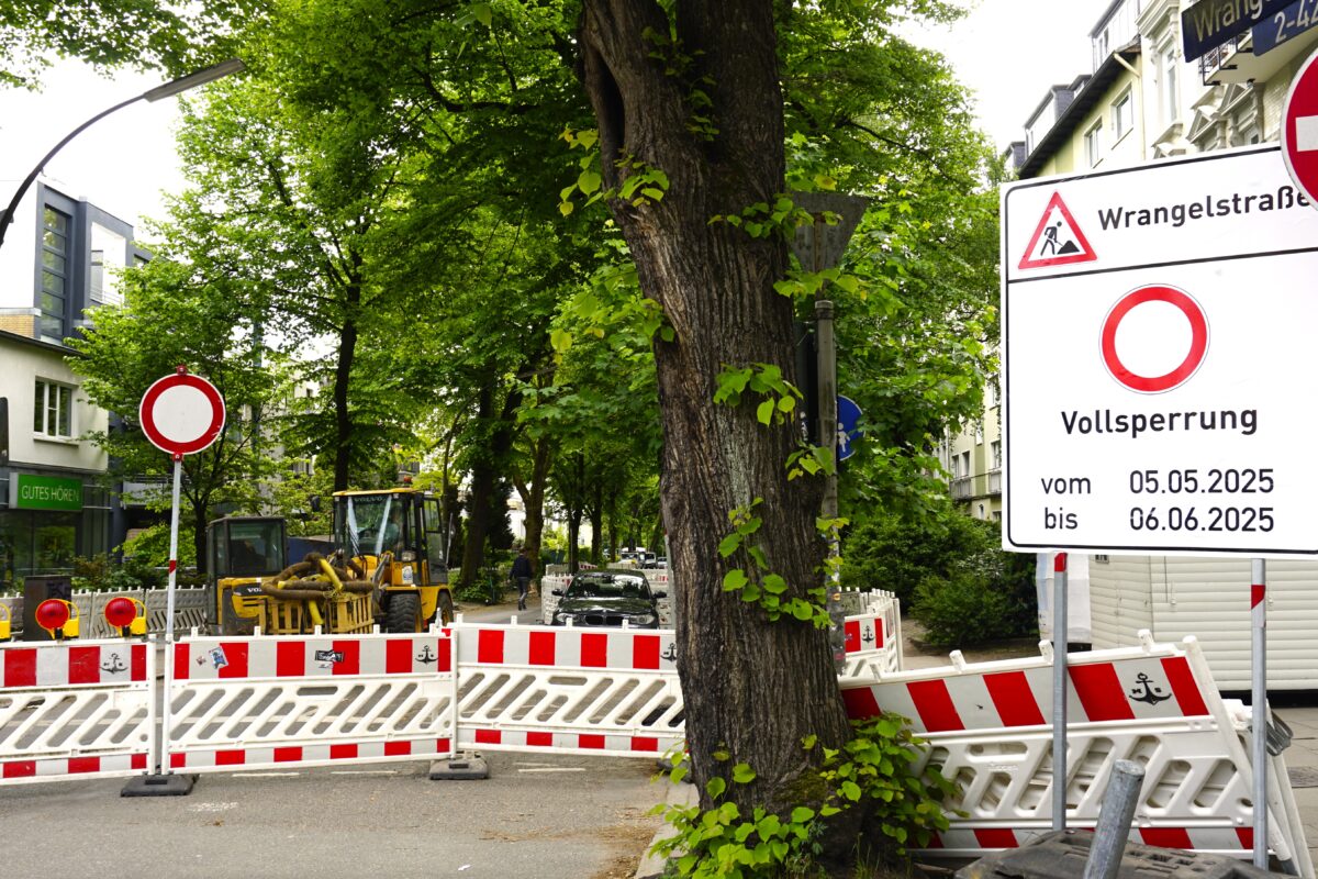 Anwohner der Wrangelstraße haben eine Petition gestartet. Sie wollen sich gegen den Wegfall von Parkplätzen wehren. Foto: Ella Schinkel