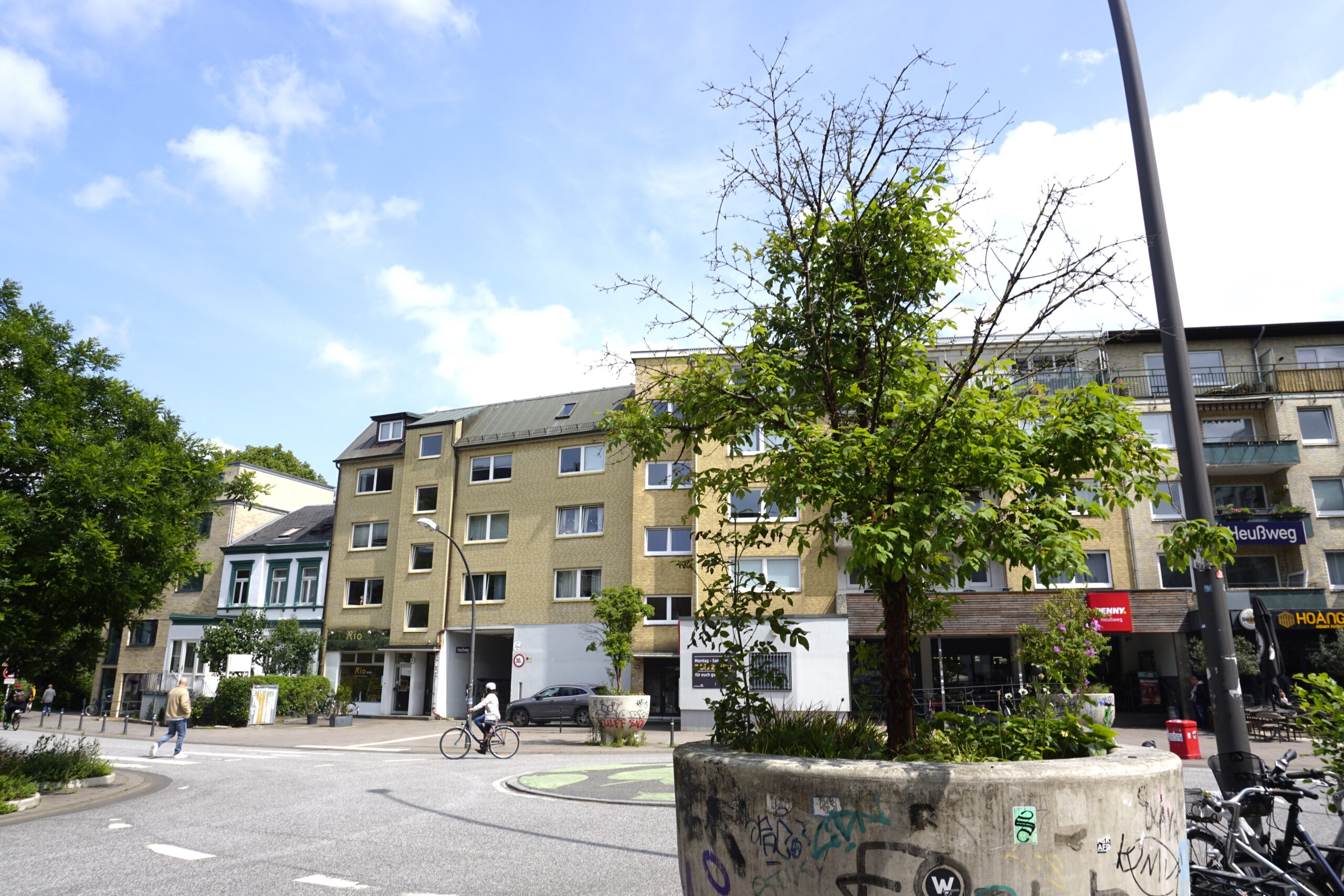 K-belpflanzen-am-Heu-weg-Sind-Patenschaften-die-L-sung-