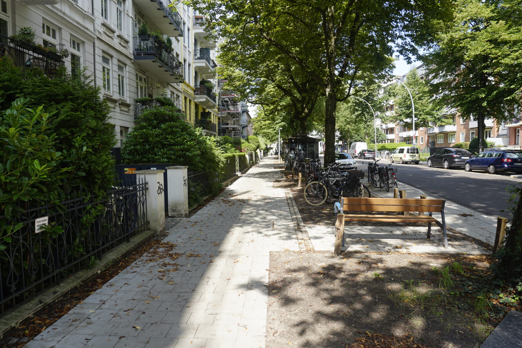 Die neu gestalteten Gehwege der Mansteinstraße sind barrierefrei, leicht verbreitert und verlaufen entlang bepflanzbarer Flächen um die Bäume. Foto: Teresa Runge