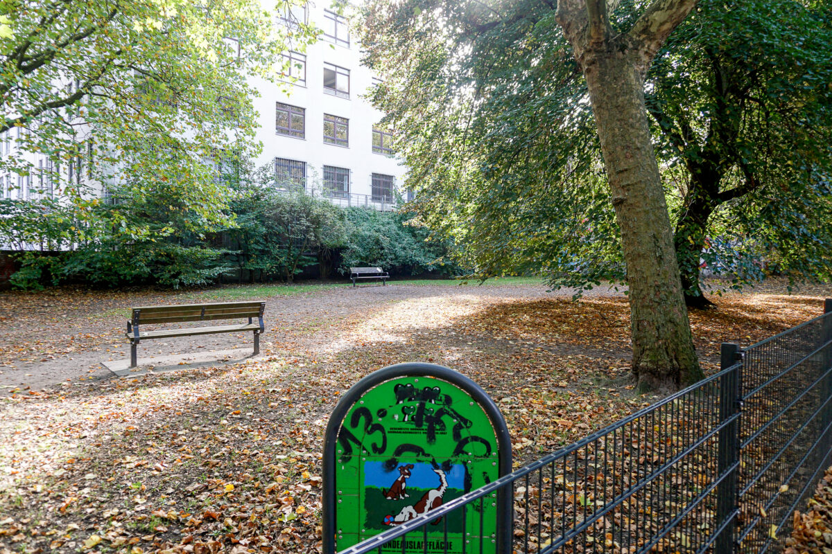 Die Hundeauslaufwiese Eduardstraße wird saniert werden. Foto: Aaron Müller