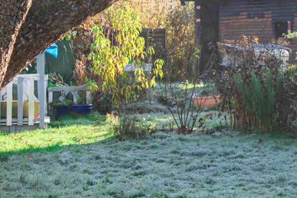 Im Bereich einer Kleingartenanlage in Eidelstedt wurde eine tote Person gefunden. Symbolfoto: Eimsbütteler Nachrichten