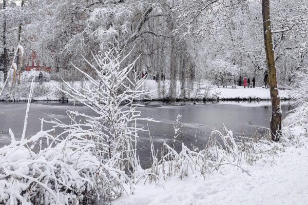 Der Winter hat Hamburg fest im Griff: Schnee bestimmt den Alltag in der Stadt. Foto: Eimsbütteler Nachrichten