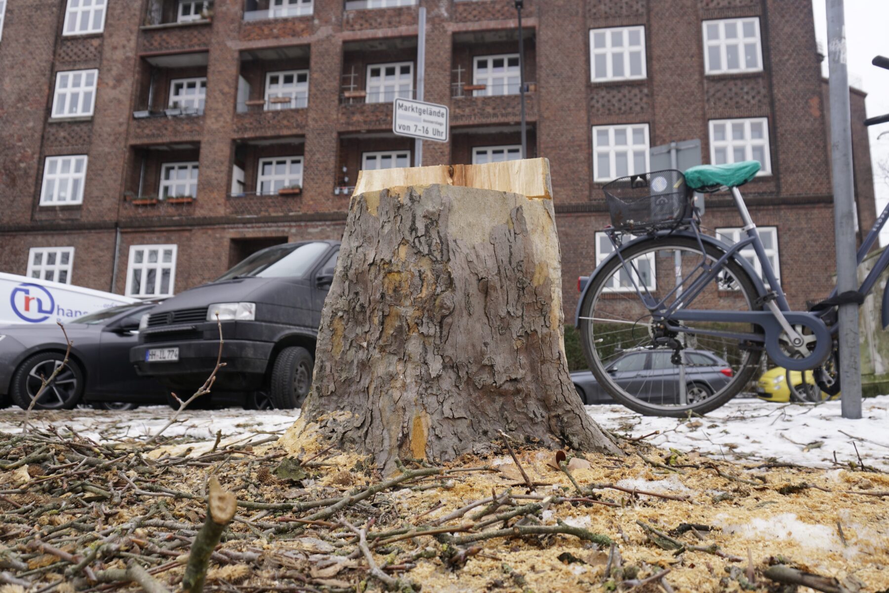 Geblieben sind nur noch Stümpfe: In der Gustav-Falke-Straße wurden fünf Bäume gefällt. Noch neun weitere sollen im Bereich der Kreuzung folgen.
