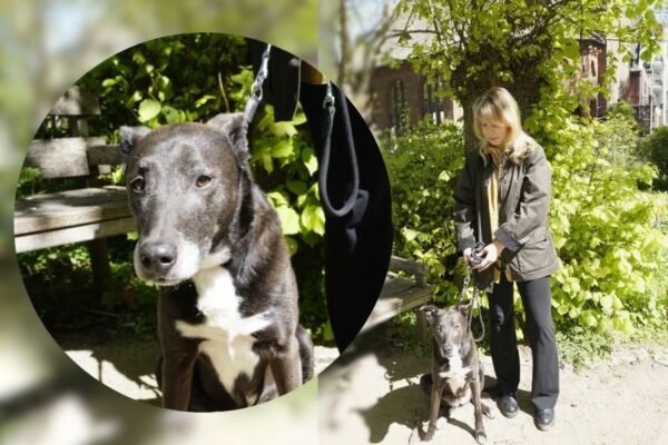 Mona Fingerhut kümmert sich ehrenamtlich um Hündin Alma. Foto: Ella Schinkel