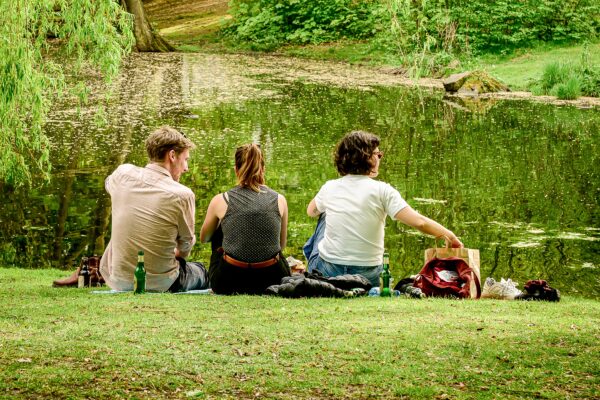 Der Park am Weiher lockt im Sommer zum Picknick im Freien. Foto: Rainer Wiemers