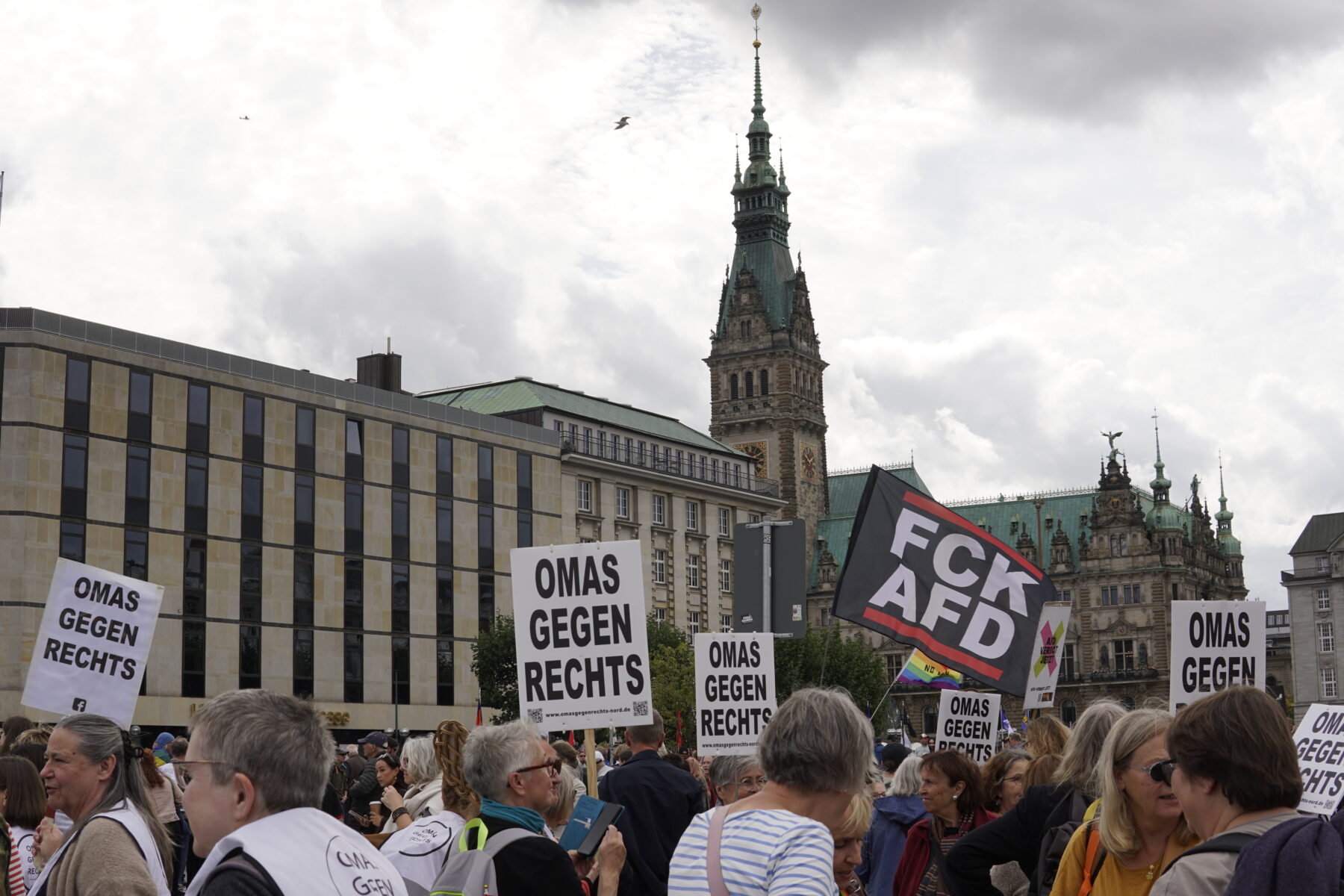 Die weißen Schilder der Omas gegen Rechts strahlen vor dem grauen hamburger Himmel. Foto: Ella Schinkel