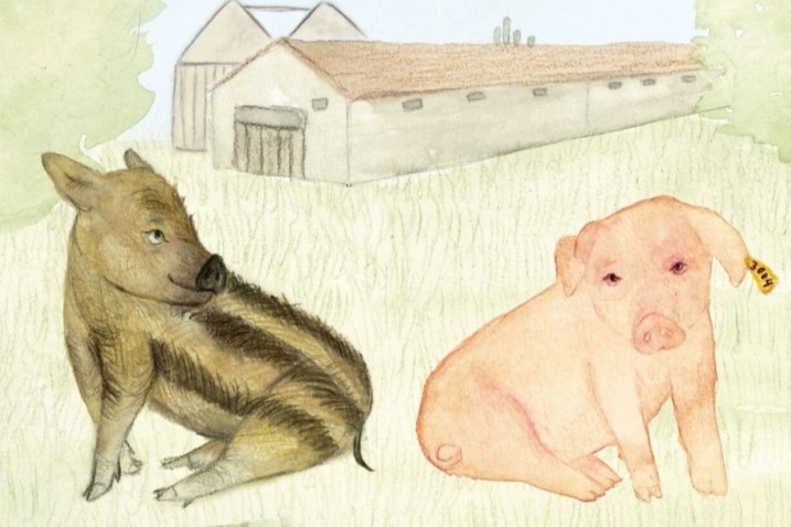 Eine Lesung der Kinderbuchreihe "Schwein gehabt". Foto: Arturbücher
